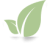 leaf-icon.png